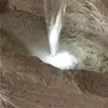 blumfeldt Stonehenge, solární fontána, lithium-ion (5h), Náhled obrázku produktu 3