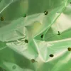 A close-up view of a green plastic film with multiple holes, likely a product for growing plants. Produktbild-Vorschau