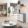 A modern living room or entryway with a focus on a dresser, shelves, and a coffee table. Produktbild-Vorschau