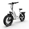 VERVE 26 Zoll Fat E-Bike Tiefeinsteiger 250W 48V 20Ah bis Produktbild-Vorschau 2