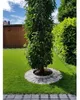 Anneau d'arbre en alu hauteur 140 mm Diamètre 1,2 m Voir les images du produit 3