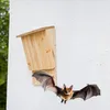 Lot de 2 nichoirs à chauves-souris Relaxdays, résistants Voir les images du produit 2