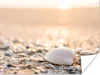 MuchoWow® Poster Muscheln - Weiß - Strand - Sommer 120x90 Produktbild-Vorschau 1