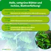Purgrün Kaffeepflanze-Dünger 1 Liter, Produktbild-Vorschau 3