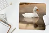 MuchoWow® Mauspad Mousepad Ente - Vogel - Wasser - Weiß Produktbild-Vorschau 5
