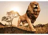 Schleich Leone africano Anteprima dell’immagine prodotto 4