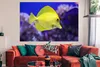 MuchoWow® Poster Fisch - Koralle - Gelb 180x120 cm - Produktbild-Vorschau 3