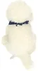 Teddy Hermann Labradoodle sitzend creme 28 cm Kuscheltier Produktbild-Vorschau 4