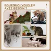 PawHut Arbre à chat griffoir, arbre à grimper pour chat, en Voir les images du produit 6