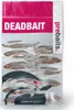 Köderfische Silberorfe Klein - Vakuumverpackt | 8-14CM | Produktbild-Vorschau 2