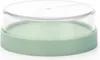 Brabantia Make & Take, Obstschale, Rund, Kunststoff, Grün, Produktbild-Vorschau 3