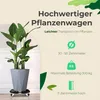 Sunny Tree - Pflanzenroller - Tragfähigkeit bis 300 kg - Produktbild-Vorschau 2
