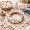 Muschelmix weiß 1 kg 1–6 cm Deko Muscheln Schneckenhäuser Produktbild-Vorschau 5
