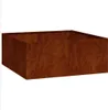 vidaXL Sadzarka Rusty 100x100x40 cm Stal odporna na warunki Podgląd zdjęcia produktu 1