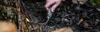 A hand holding a lighter with a flexible neck, igniting sticks in a campfire. Anteprima dell’immagine prodotto