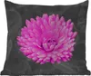 MuchoWow® Outdoor Kissen - Blumen - Aquarell - Rosa - 40x40 Produktbild-Vorschau 1