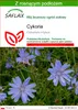 SAFLAX - Cykoria - 250 Nasiona - Z podłożem uprawowym Podgląd zdjęcia produktu 1