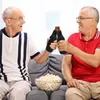 Izolované pouzdro na pivní lahev se zipem. Udržuje pivo Náhled obrázku produktu 4