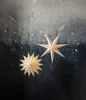 Two paper star lanterns hang in front of a dark, starry background. Podgląd zdjęcia produktu