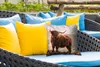 MuchoWow® Outdoor Kissen - Schottische Hochlandrind - Tiere Produktbild-Vorschau 4