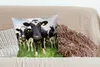 MuchoWow® Zierkissen Sofakissen Wohnzimmer Dekokissen 50x50 Produktbild-Vorschau 4