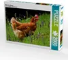 CALVENDO Puzzle Huhn im Garten 2000 Teile Puzzle quer | Produktbild-Vorschau 1