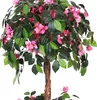 Drillingsblume Bougainvillea Wunderblumengewächs Produktbild-Vorschau 2
