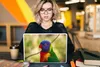 MuchoWow® Laptop Aufkleber Sticker Cover Vogel - Sittich - Produktbild-Vorschau 5