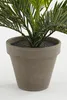 Slídové dekorace Umělá rostlina palma cycas v květináči - Náhled obrázku produktu 9