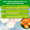 Purgrün Clivia-Dünger 1 Liter, Produktbild-Vorschau 3