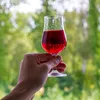 A hand holding a glass of red liquid with a blurred green background. Produktbild-Vorschau