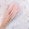 Getrocknetes Mini Pampasgras Rosa, 60cm Länge, mit Produktbild-Vorschau 6
