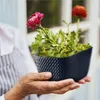 Hands holding a potted plant with pink and orange flowers. Anteprima dell’immagine prodotto