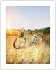 Poster - Poster ohne Rahmen - Fahrrad Wiese Blumen - 40x50 Produktbild-Vorschau 1