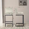 CLP Barhocker Hopewell Samtbezug Freischwinger mit Produktbild-Vorschau 2