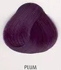 La Riche Plum, Violett, Plum, Frauen, Plum, 88 ml, normales Produktbild-Vorschau 2