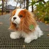 Peluche King Charles Spaniel 25 Cm Ecologico Anteprima dell’immagine prodotto 6