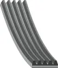 FEBI BILSTEIN Keilrippenriemen 1237mm für HYUNDAI i10 (PA) Produktbild-Vorschau 1
