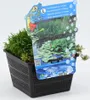 BALDUR Garten Sauerstoff-Teichpflanzen im Korb,1 Set, Produktbild-Vorschau 2