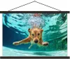 MuchoWow® Textilposter Pool - Hund - Wasser 60x40 cm mit Produktbild-Vorschau 1
