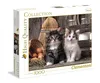 Clementoni High Quality Collection Puzzle "Lovely Kittens" Produktbild-Vorschau 1
