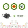 Cosmea Schmuckkörbchen Sensation Mix Samen - Cosmos Produktbild-Vorschau 2