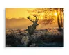 Fabelhafte Canvas LEINWAND BILDER 70x50 cm XXL Kunstdruck Produktbild-Vorschau 3