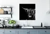 MuchoWow® Poster Schottischer Highlander - Horn - Schwarz - Produktbild-Vorschau 3