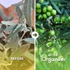 Olivovník Tekuté Hnojivo 1 L – 2-1-8 NPK – Pro Olivovníky – Náhled obrázku produktu 2