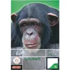 Cahier scolaire Herlitz x.book, DIN A5, linéature 6 / Voir les images du produit 3