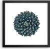 Gerahmtes Poster - Schwarzer Rahmen - Agave Königin Produktbild-Vorschau 1
