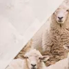 Dekostoff Meterware Baumwollstoff Halbpanama Sheep Flock Produktbild-Vorschau 5