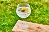Geschenkset mit 6 Cocktailgläsern à 70 cl – Cosy Moments – Produktbild-Vorschau 3