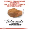 Royal Canin Fbn British Shorthair 10Kg, 550756464 Podgląd zdjęcia produktu 3